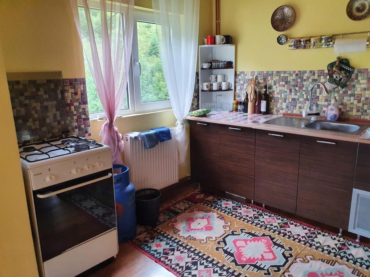 Casa Dor De Ea Villa Dimbovicioara Luaran gambar